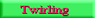 La pratique du twirling � La Saint Roch